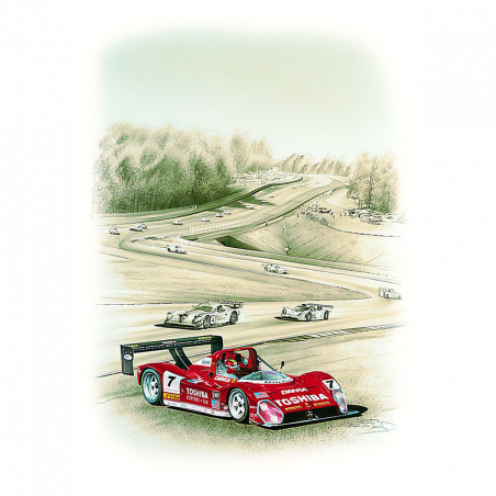 Litho 50x65cm Ferrari 333